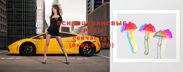 тгк Елизово