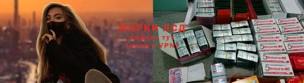 спайс Елабуга