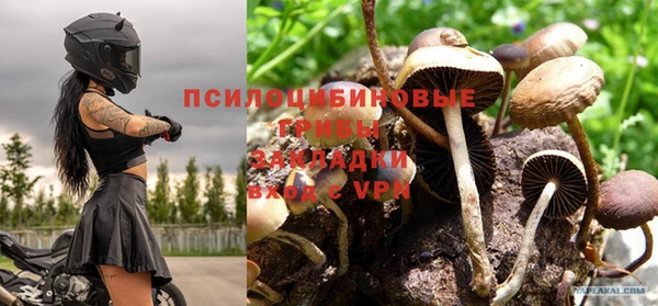 тгк Елизово