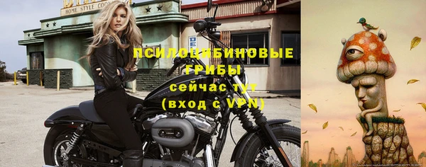 тгк Елизово