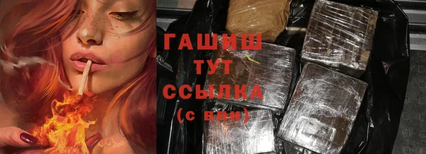 тгк Елизово