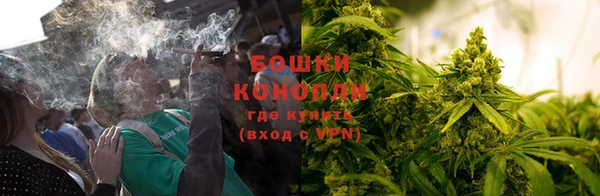 тгк Елизово