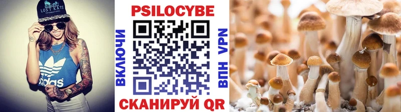 Купить закладки  Руза  Галлюциногенные грибы мицелий 